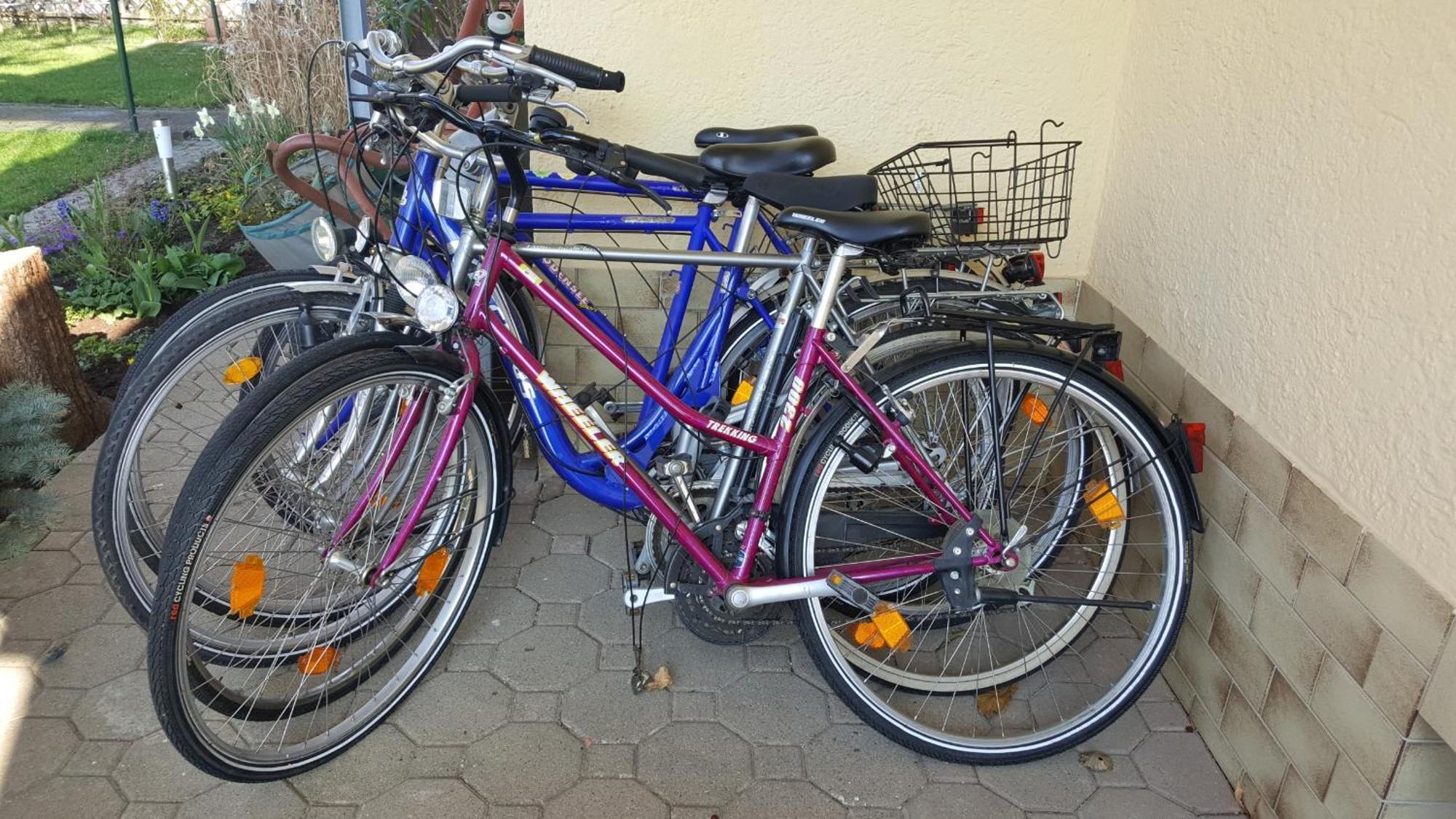 Ferienwohnung Miezerle Steisslingen Kültér fotó