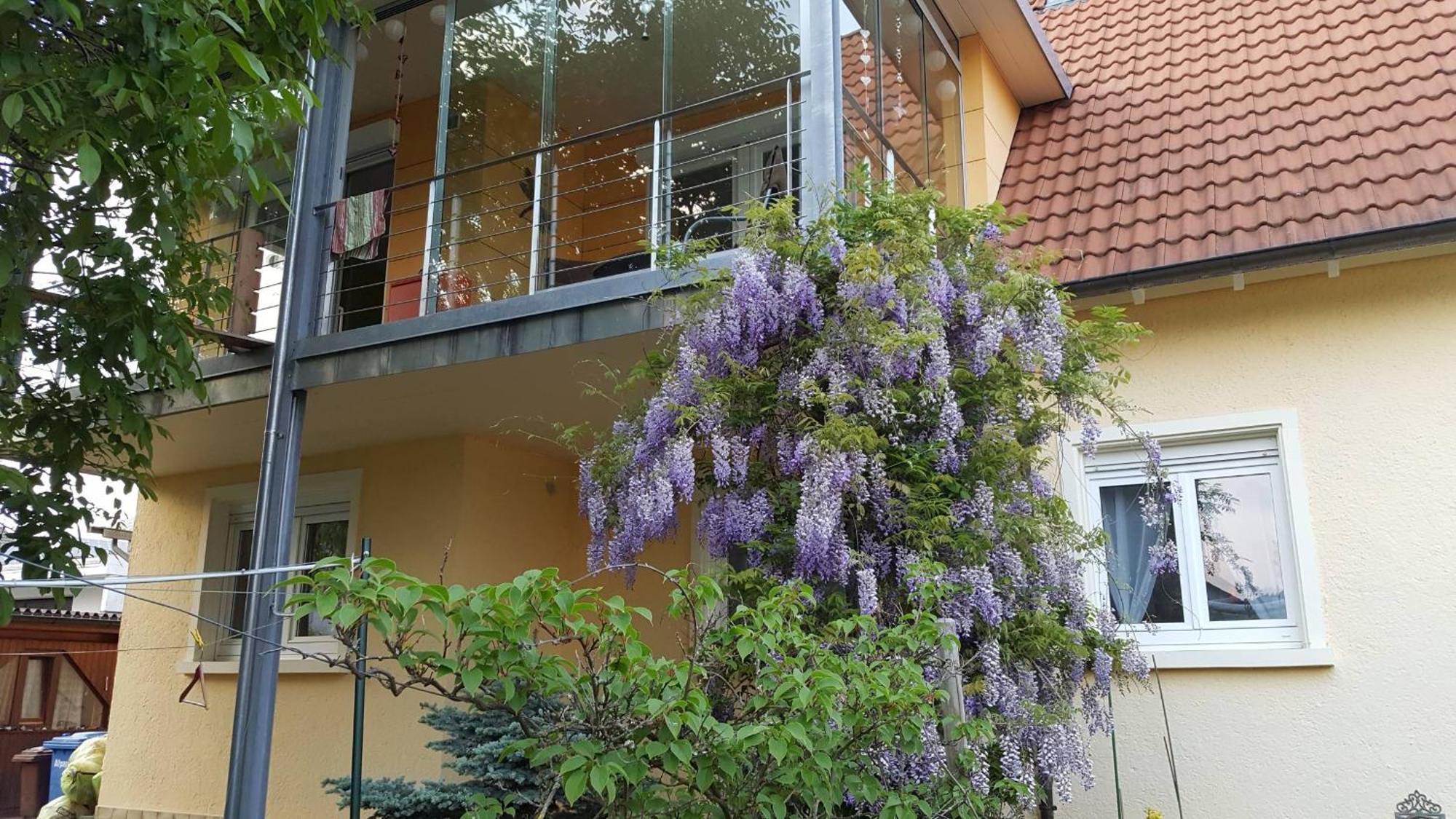 Ferienwohnung Miezerle Steisslingen Kültér fotó